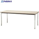 TOKIO ミーティングテーブル 丸脚 1200×600mm ニューグレー ネオグレー TD-1260M NG 1台 ■▼146-3036 【送料都度見積】※車...