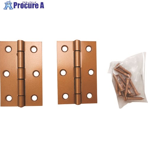 WAKI 厚口カラー丁番 VE‐013 64mm ゴールド VE-013 1袋 ■▼147-4604【代引決済不可】【送料都度見積】