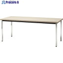 TOKIO ミーティングテーブル 角脚 1200×600mm ニューグレー ニューグレー ネオグレー TD-1260K NG 1台 ■▼147-8762 【送料...