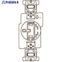 Panasonic 舞台照明用C型接地2P20A埋込コンセン WF1820W 10個 ■▼157-8454【送料都度見積】 ●YA513