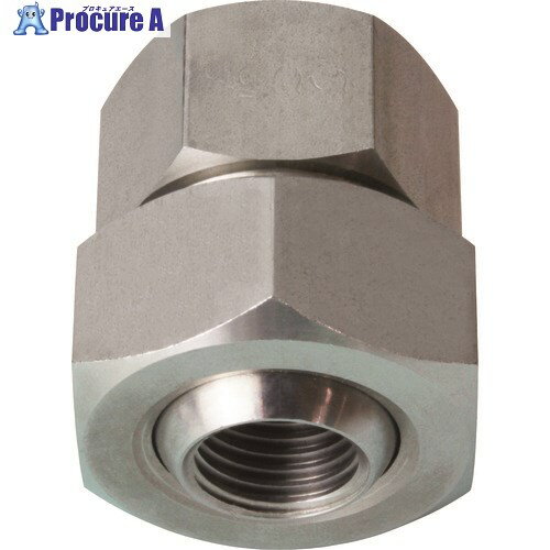 いけうち ボールジョイント UTシリーズ ステンレス鋼303製 ネジ1/2メス×1/2メス UT 1/2FX1/2F S303 1個..