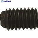 SI セットスクリュウ R5M50-80 1個 ■▼216-4333 【送料都度見積】