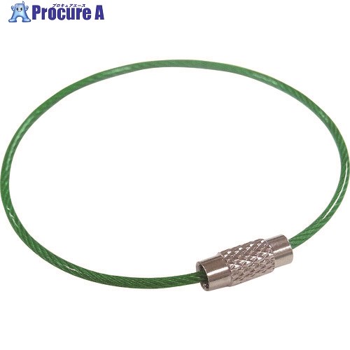 ニッサチェイン ビニコートキーワイヤー 緑 160mm 100個入り SKE-101V-GR 1箱 ■▼224-2064【代引決済不可】【送料都度見積】