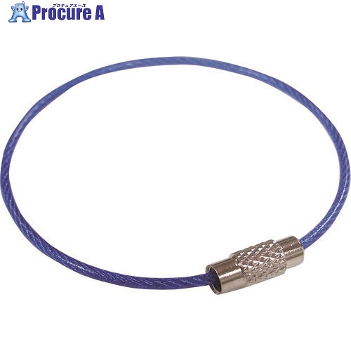 ニッサチェイン ビニコートキーワイヤー 青 160mm 100個入り SKE-101V-BL 1箱 ■▼224-2091【代引決済不可】【送料都度見積】