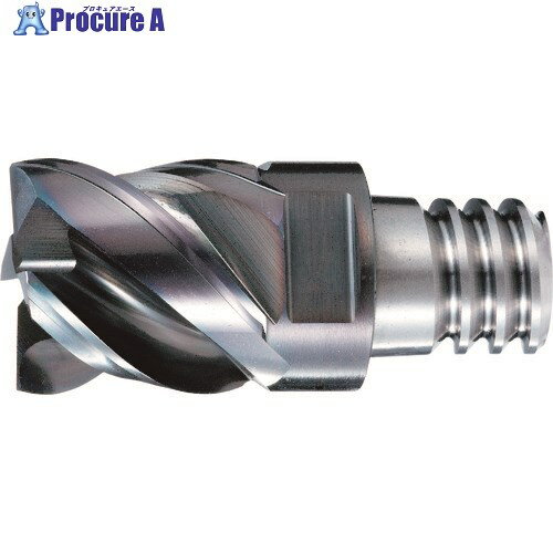 OSG PHOENIX ヘッド交換式エンドミル PXM スクエア・コーナラジアスタイプ 7834997 PXM PXVC100C10-04R020 (7834997) 1個 ■▼226-7473【代引決済不可】【送料都度見積】 ●YA513