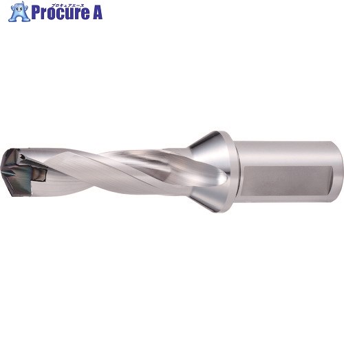 OSG PHOENIX ヘッド交換式ドリル PXD 7831027 PXDZ250-3D-170.5-32 (7831027) 1本 ■▼228-6377【代引決..