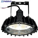 日立 高天井用LEDランプ アームタイプ 特殊環境 屋外形(塩害対応) RBME21CMNC1 1台 ■▼256-1694 【送料都度見積】