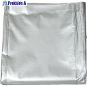 萩原 ターピー UVシート #4000 シルバー 10m×10m UV4000-SL1010 1枚 ■▼437-5579 【送料都度見積】※車上渡し