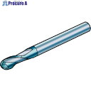 SANDVIK コロミルプルーラ 超硬ソリッドエンドミル(730) 1620 R216.42-10030-AK19G 1620 (730) 1個 ■▼574-5403 【送料都度見積】 ●KO521