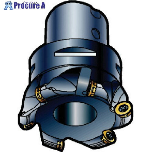 SANDVIK ߥ300 ̥ե饤å(440) R300-050Q22-12H (440) 1 575-0032 ٸѡ KO521