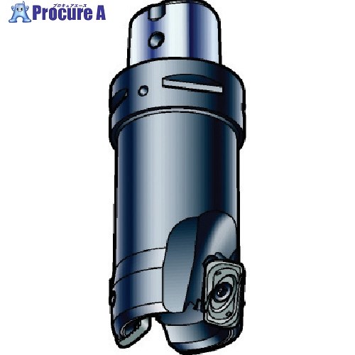 SANDVIK コロミル790カッター(440) R790-063C6S2-22M (440) 1台 ■▼576-0496 【送料都度見積】 ●KO521