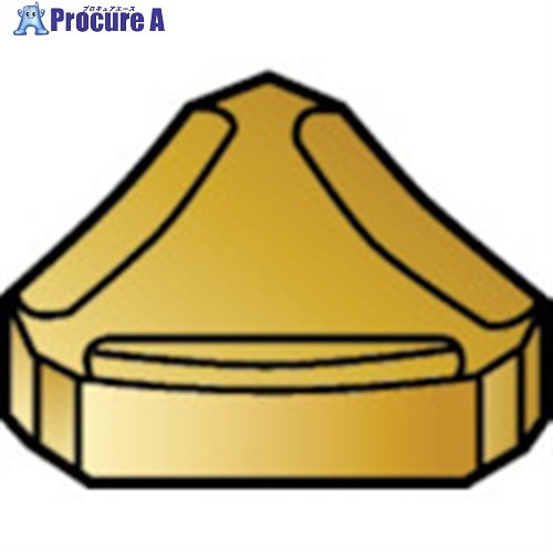 SANDVIK オートカッター用チップ(170) 3040 TNEF 12 04 AN-CA 3040 (170) 10本 ■▼579-4471 【送料都度..