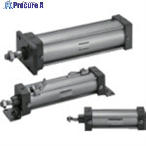 CKD åٻ񥢥 SCA2-FB-40B-100 1S 582-5598 ٸѡ