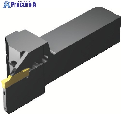 SANDVIK åQDۥ(480) QS-RF123J25C2525E-175B (480) 1 825-2079 ...