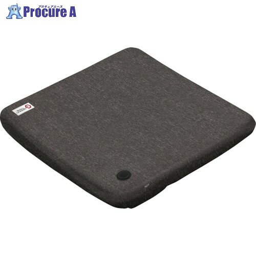 IRIS 517527 カーヒートクッション グレー HW-CC40-H 1個 ■▼253-3095 【送料都度見積】