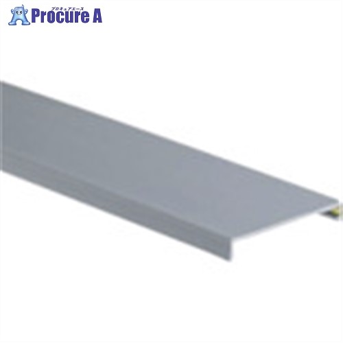 PANDUIT ヒンジタイプ配線ダクト用カバー ライトグレー 6FT(フィート) 1本 HC4LG6 1本 ■▼731-3161 【送料都度見積】※車上渡し