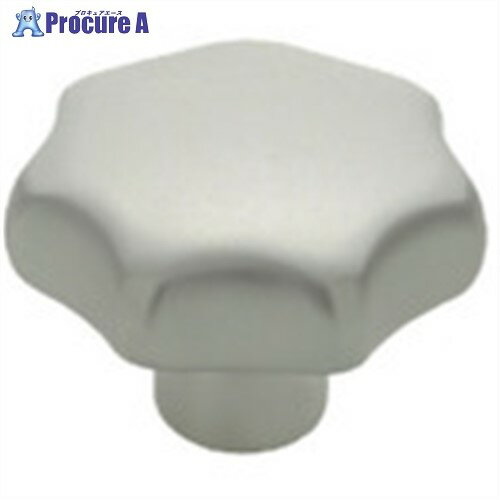 イマオ ステンレスハンドノブ(タップ穴) HK40NT-SUS 1個 ■▼806-0780【代引決済不可】【送料都度見積】