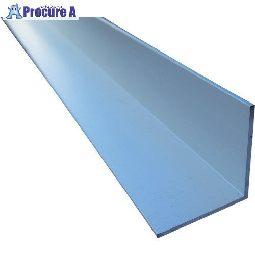 アルインコ アルミモールアングル 9X9X1.0 シルバー 1m FM100S 1本 ■▼849-4984【代引決済不可】【送料都度見積】※個人宅様送り不可