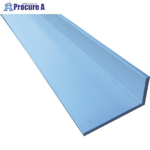 アルインコ アルミモールアングル 25X50X3.0 シルバー 1m FM119S 1本 ■▼849-5044【代引決済不可】【送料都度見積】※個人宅様送り不可