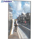 緑十字 FFミラー(広視覚平面ミラー) FF-15B 155×215mm ビス止めタイプ 279011 1台 ■▼106-4576
