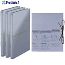 PLUS 89288)セノバス3+1 FL024SS BL FL-024SS 1パック ■▼195-8237 【送料都度見積】