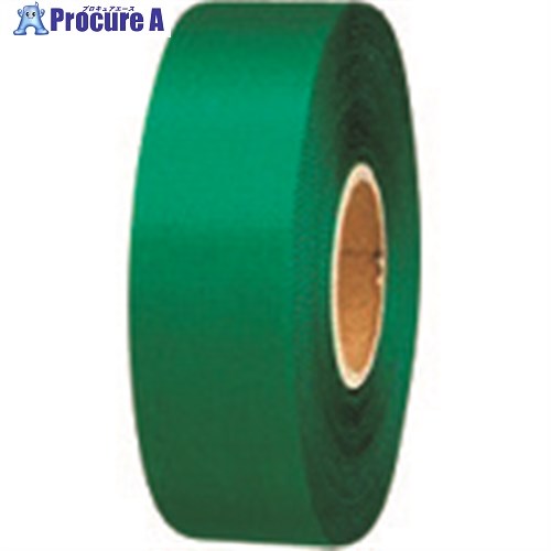 JTX 831139)カラ-リボン緑 24mmX25m 10個B824J-GR10 B824J-GR10 1パック ■▼195-8340 【送料都度見積】