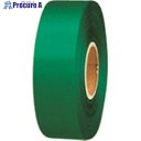 JTX 831139)カラ-リボン緑 24mmX25m 10個B824J-GR10 B824J-GR10 1パック ■▼195-8340 【送料都度見積】