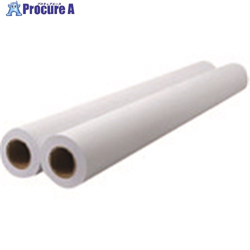 JTX 861248)再生プロッタ用紙G用610X45m2本 K081J K081J 1箱 ■▼195-8415 【送料都度見積】