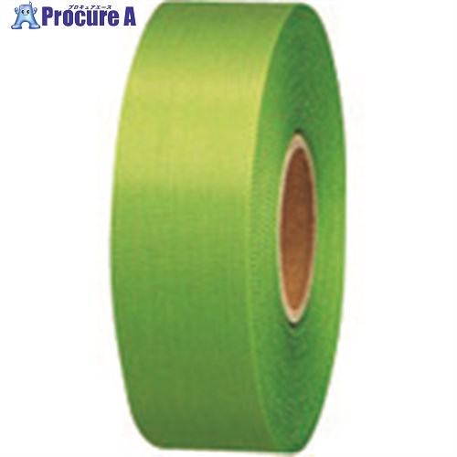 JTX 831140)カラ-リボン黄緑 24mmX25m 10個B824J-YG10 B824J-YG10 1パック ■▼195-9952 【送料都度見積】