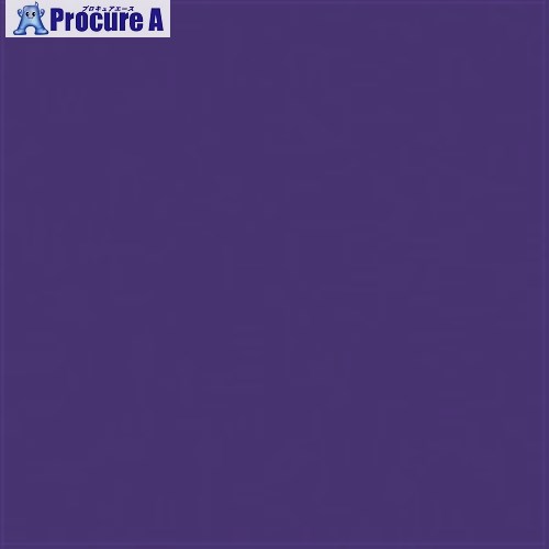 オフィス・住設用品 文具・事務用品 -------------------------------------メーカー名プラス（株）プラス名称 JTX商品名JTX　365264）単色おりがみ紫　100枚　B260J−15型式B260J15メーカー希望小売価格【税抜】358円(税抜)オレンジブック年　ページ発注コード196-4646JANコード4547345026839特長●よく使う色だけ買える単色タイプです。●見本帳があります。用途仕様●色数：1色●色内訳：むらさき●寸法(高・縦)(1枚あたり)(mm)：150●寸法(幅・横)(1枚あたり)(mm)：150●1枚あたり寸法(厚)(mm)：0.074●坪量(g/[[M2]])：56●四六判換算(kg)：48●単色おりがみ紫　100枚　B260J-15　（365264）材質セット内容／付属品注意原産国日本重量0KG納期目安お取寄品（3〜5営業日）※欠品時別途連絡