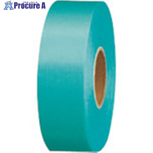 JTX 831137)カラ-リボン水色 24mmX25m10個B824J-SK10 B824J-SK10 1パック ■▼196-4716 【送料都度見積】