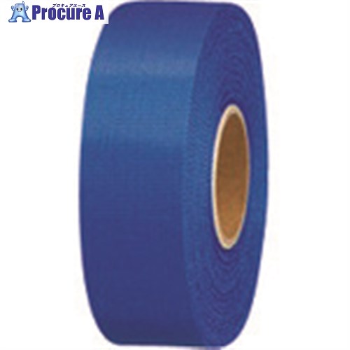 JTX 831138)カラ-リボン紺 24mmX25m 10個B824J-NB10 B824J-NB10 1パック ■▼196-6250 【送料都度見積】