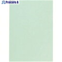 JTX 330093)カラーマルチペーパーB5冊浅黄 A170J-1 A170J-1 1冊 ■▼196-6322【代引決済不可】【送料都度見積】