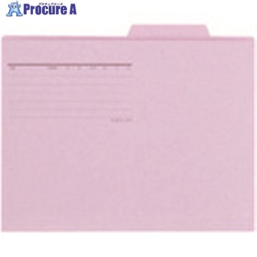 PLUS 87413)個別フォルダー FL-081IF A4E VL 10枚 FL-081IF VL 1パック ■▼196-9255 【送料都度見積】