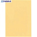 JTX 330095カラーマルチペーパーB5冊クリーム A170J-3 A170J-3 1冊 ■▼197-2592【代引決済不可】【送料都度見積】