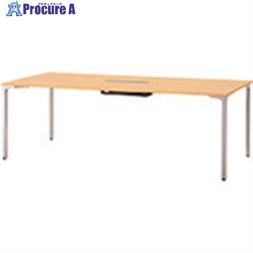 PLUS 677869)ロンナ 会議テーブル NN-2110PARH WM/M4 NN-2110PARH WM/M4 1台 ■▼210-1702 【送料都度見積】