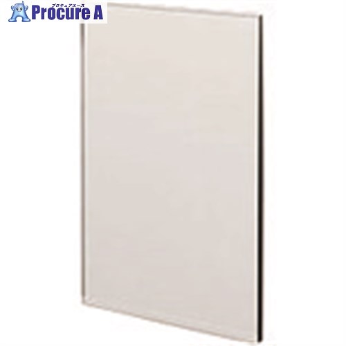 PLUS 658570)TFパネル(光触媒スチール) TF-1121HS W4 TF-1121HS W4 1枚 ■▼210-5144 【送料都度見積】
