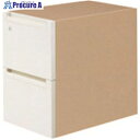 PLUS 673727)ステ-ジオ キャビネット ST-046SC-2 W4/Z3 ST-046SC-2 W4/Z3 1台 ■▼210-6489 【送料都度見積...