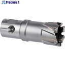 ミヤナガ 磁気ボール盤カッター デルタゴンメタルボーラー250A Φ18.5 DLMB25A185 1本 ■▼246-1614 【送料都度見積】