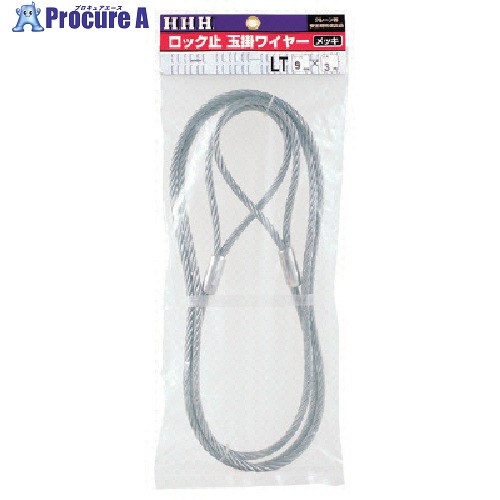 HHH ロック止玉掛ワイヤー メッキ9mm×6m LT9MMX6M 1本 ■▼808-7092 【送料都度見積】