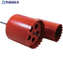 ミヤナガ ファンファン/ポリドライモンドキットSDS PCFD1R 1本 ■▼811-3753