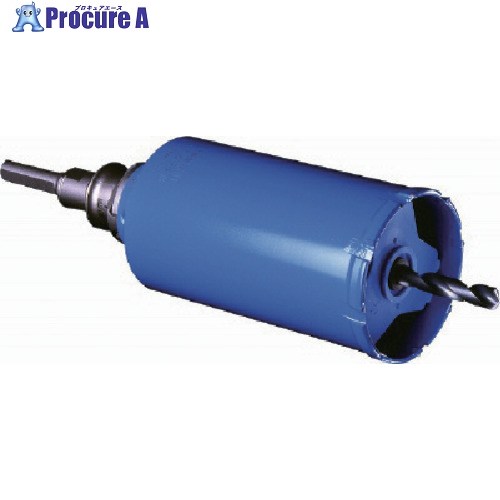 ߥʥ Хåɥɥ å SDSץ饹 140 PCGW140R 1 811-5051 ٸѡ