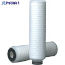 3M LifeASSURE PESメンブレンフィルターカートリッジ EPFシリーズ EPF010A01ECPJ 1本 ▼336-1933