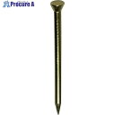 DAIDOHANT HP 真鍮レール釘 1.7×25 40本入 10183132 1パック ▼117-2942