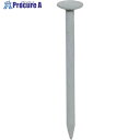 DAIDOHANT HP トタン釘 白 2.1×32 30本入 10183155 1パック ▼117-7689