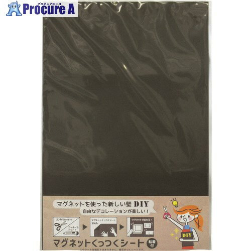 DAIDOHANT マグネットくっつくシート 300×450 ブラック 10177709 1枚 ▼144-2097