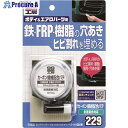 SOFT99 カーボン繊維配合パテ 80g 09229 1S ▼207-0274