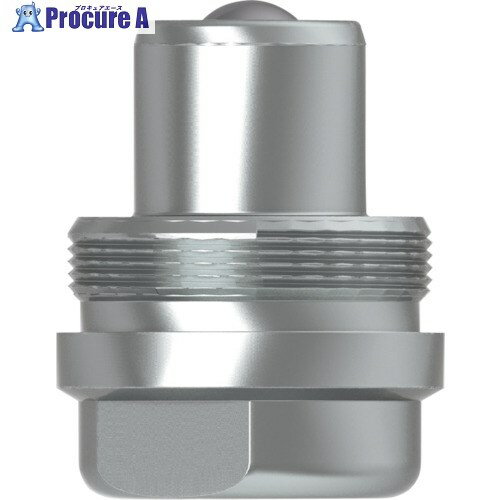 CEJN シリーズ232 スクリュータイプニップル 呼径10mm NPT3/8メネジ 10-232-6434 1...