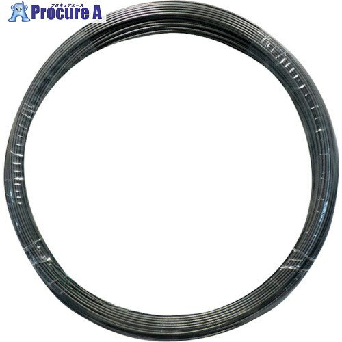 DAIDHANT ԥ [SWP-A] () 0.25mm  (Ĺ) 10M 00053707 1 369-0653 ٸѡ