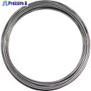 DAIDOHANT 芯出用ピアノ線 0.6×100 10155899 1巻 ▼471-2595